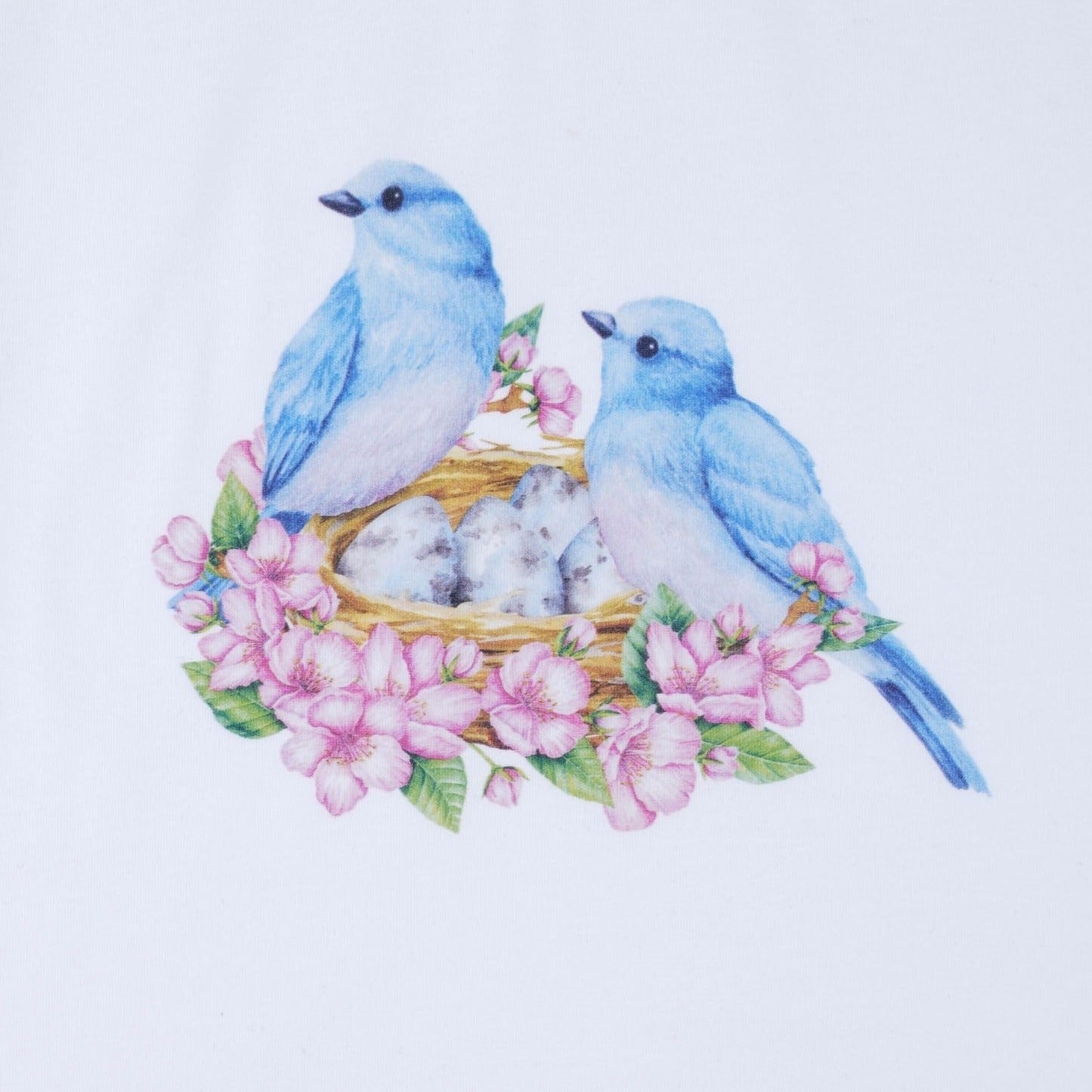 Blue Bird Girls Casual Set-2