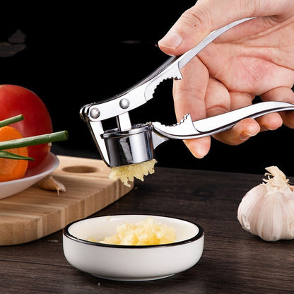 QuickMince Steel Garlic Presser