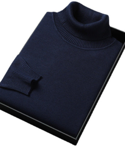 UrbanWarm Solid Turtleneck